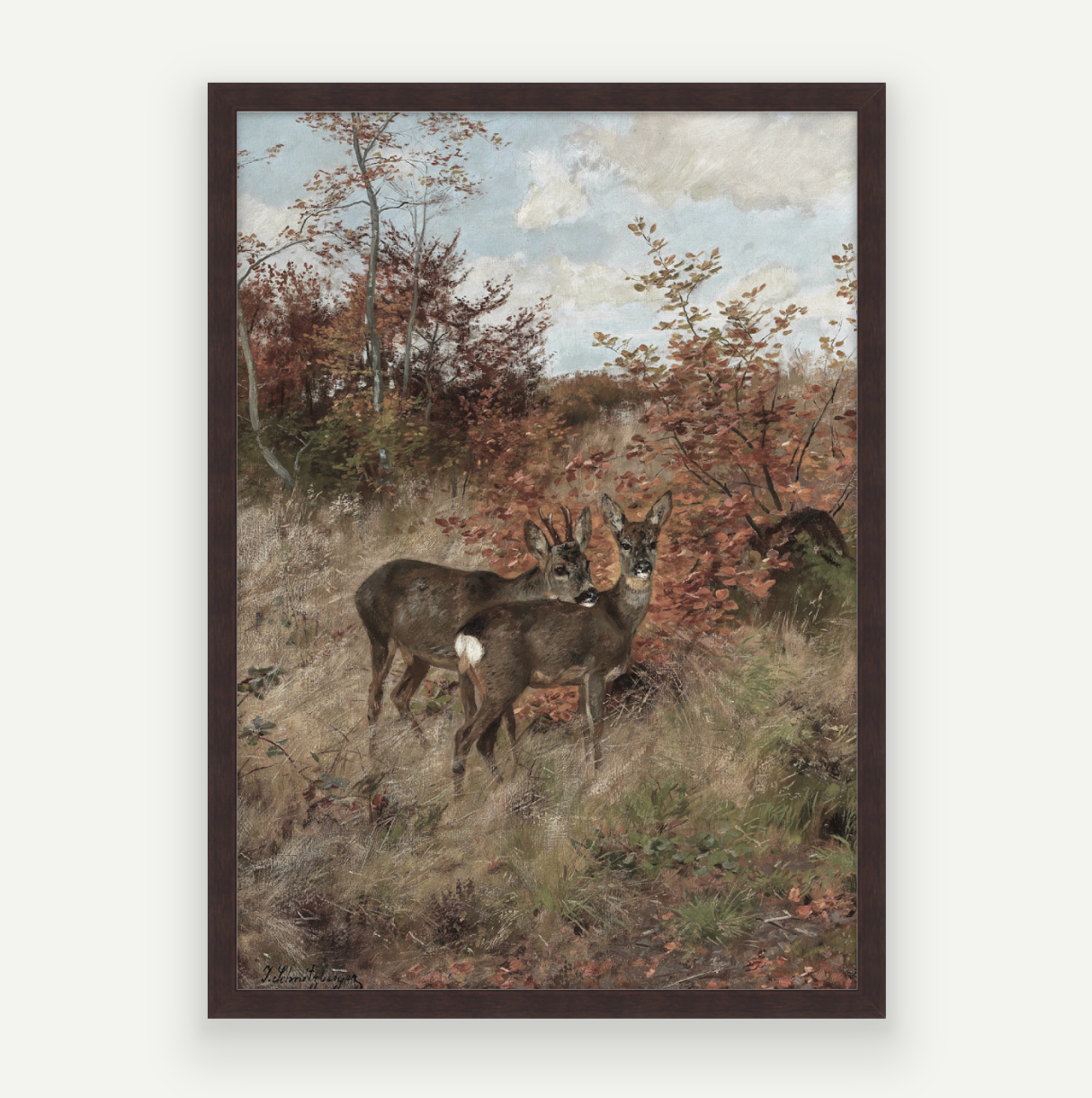 Wild Deer