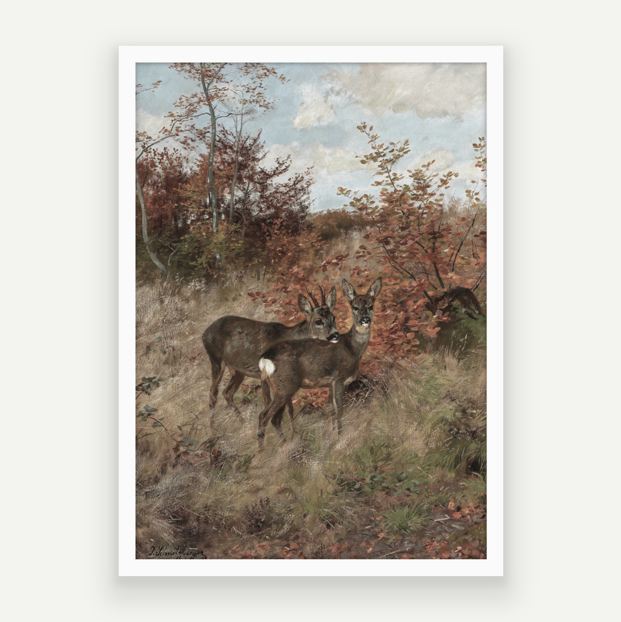 Wild Deer