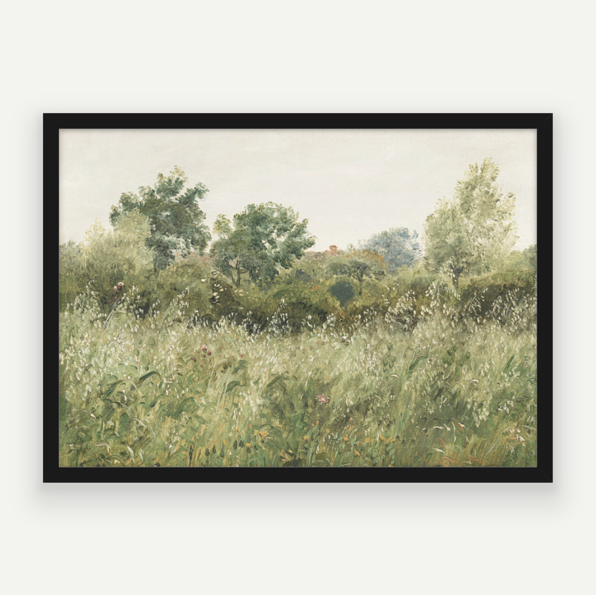 Wild Field