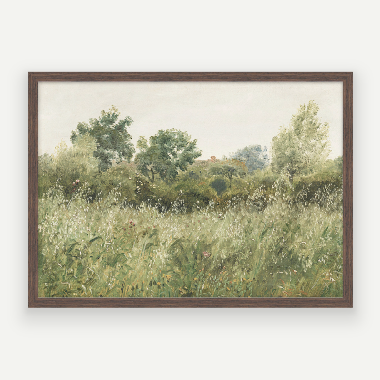 Wild Field