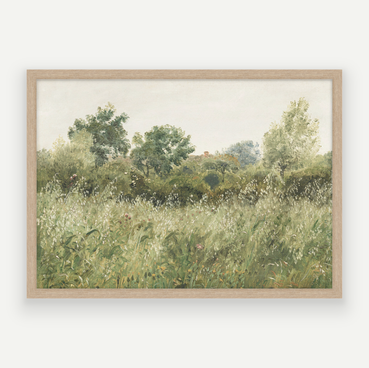 Wild Field