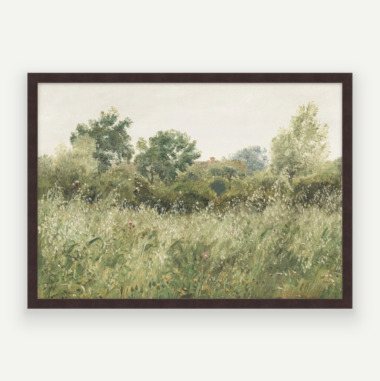 Wild Field