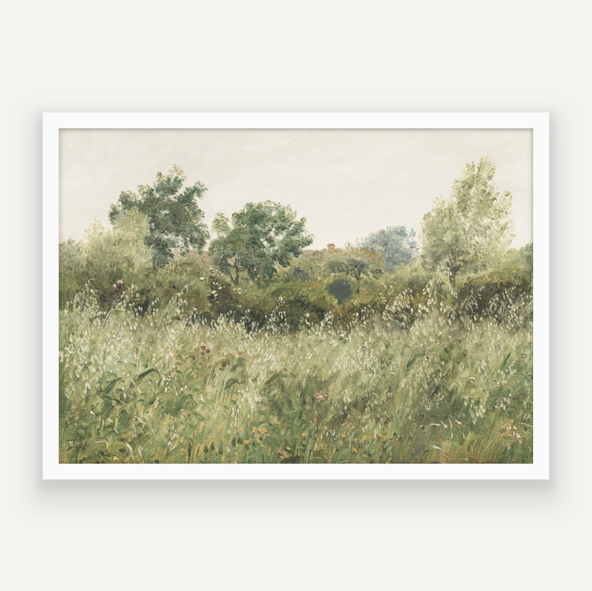 Wild Field