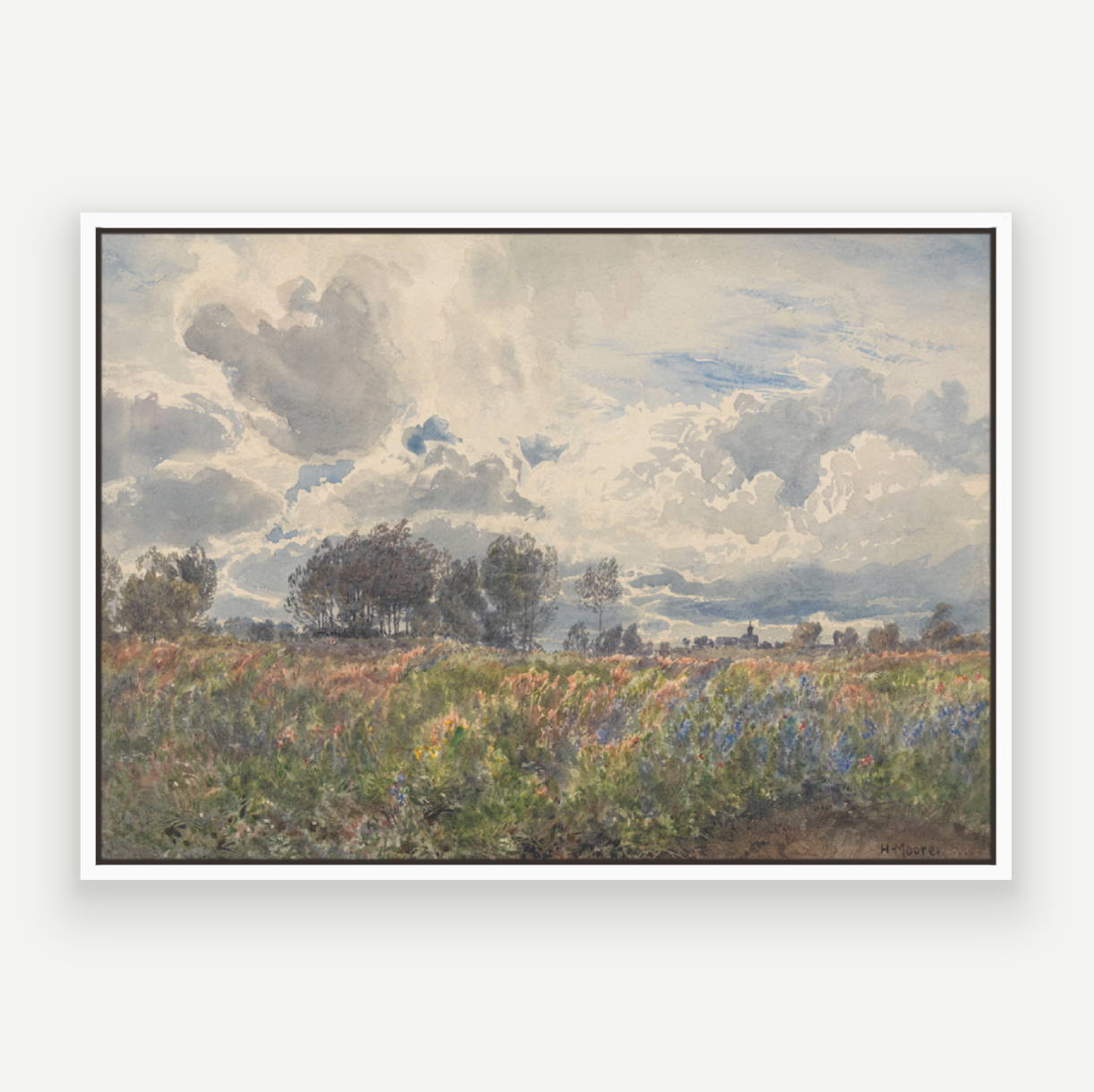 Blooming Fields