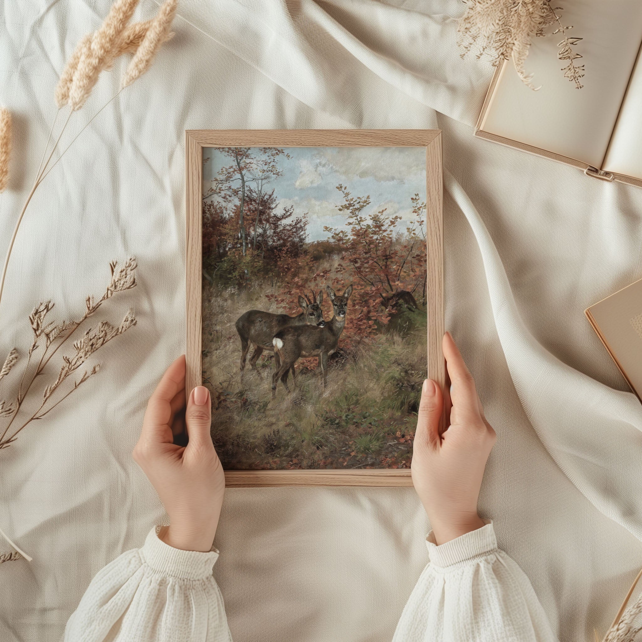 Wild Deer