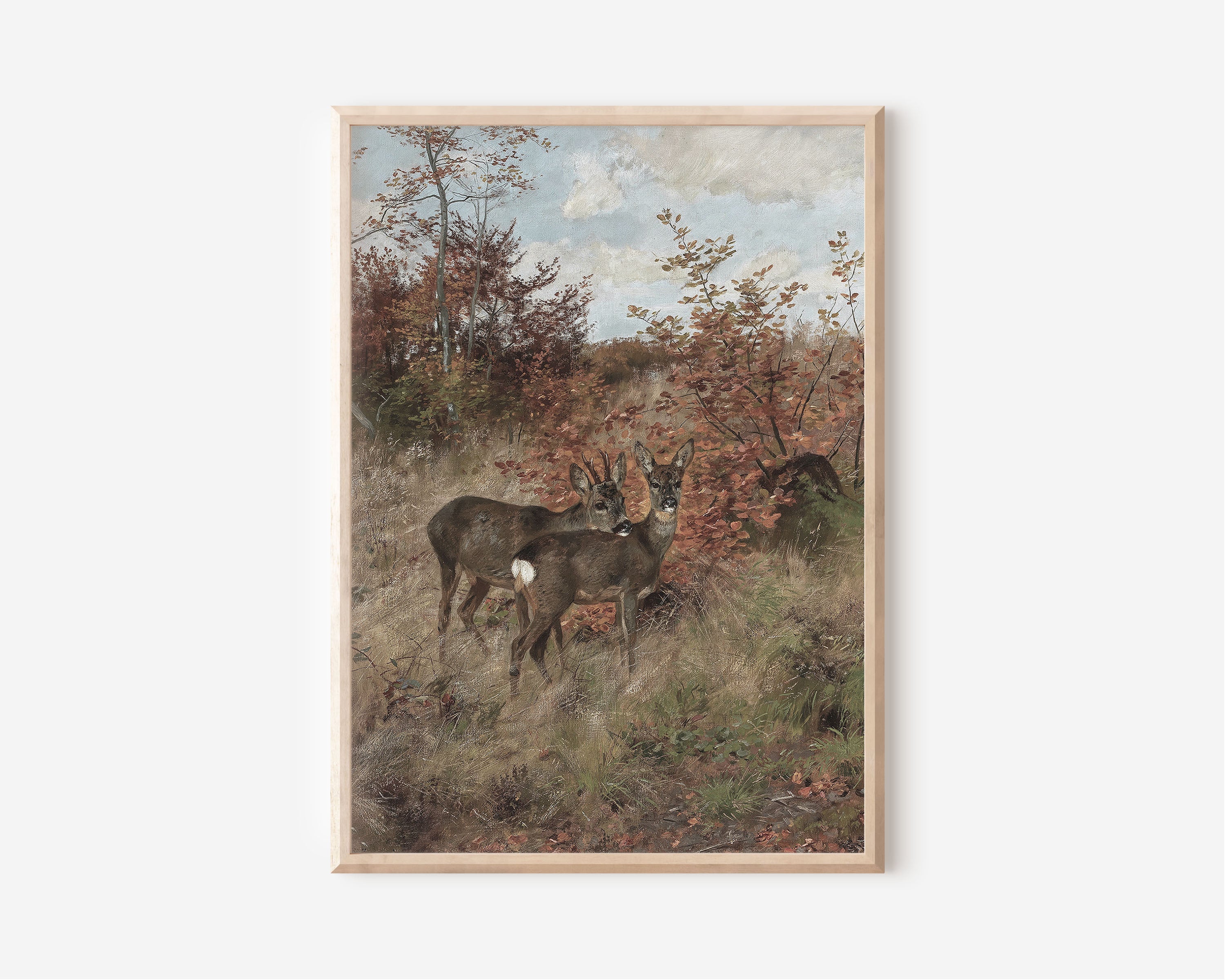 Wild Deer