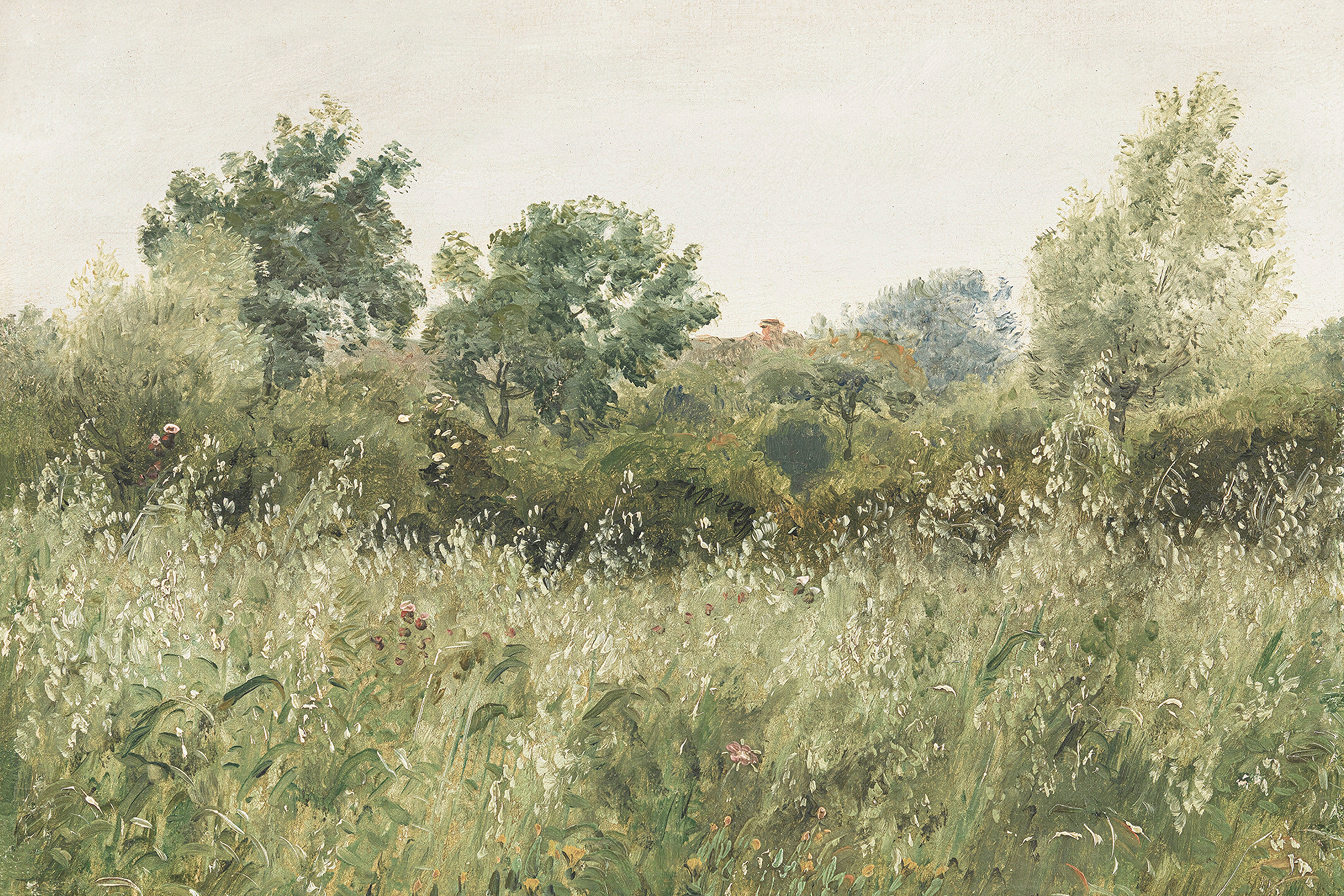 Wild Field