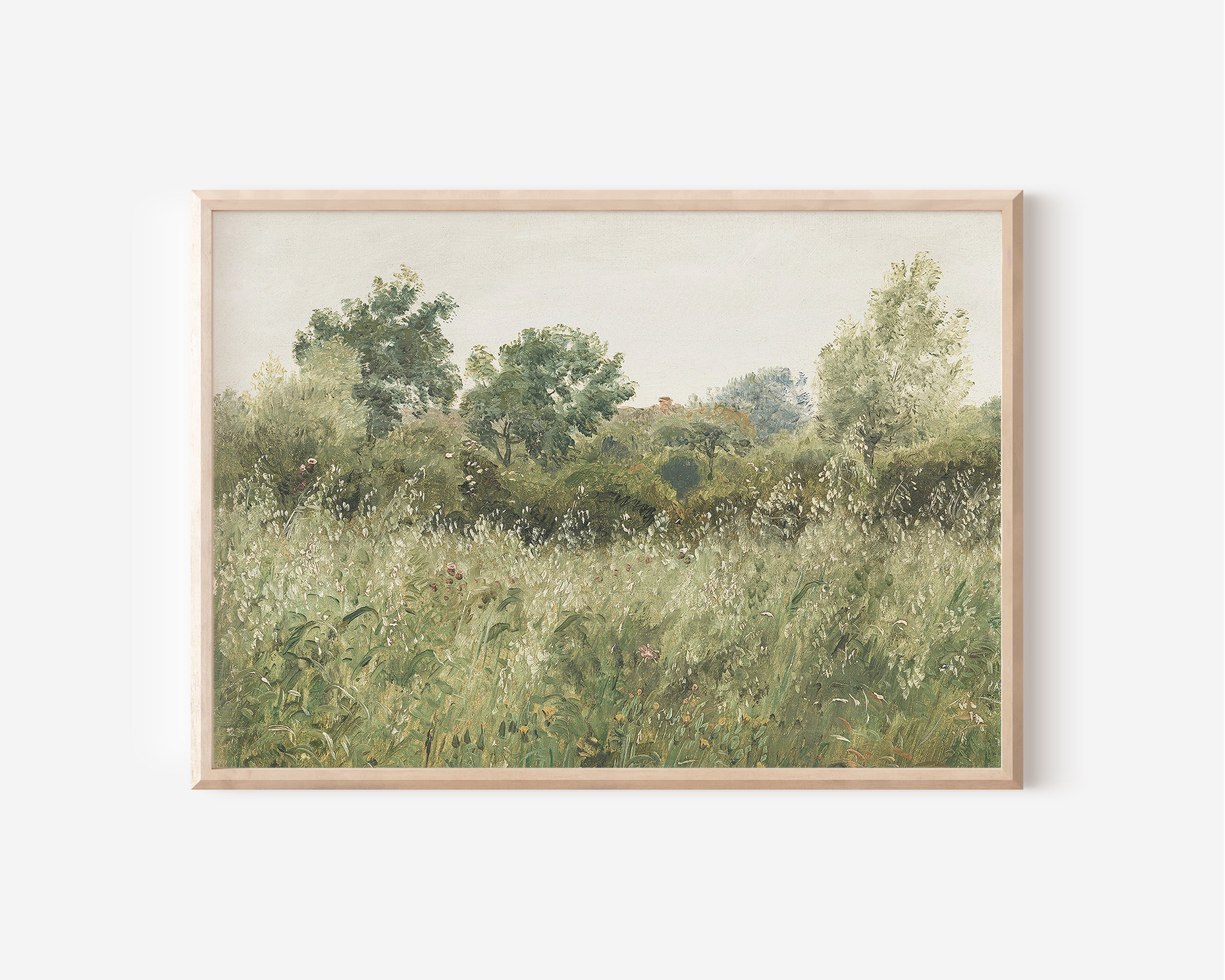 Wild Field