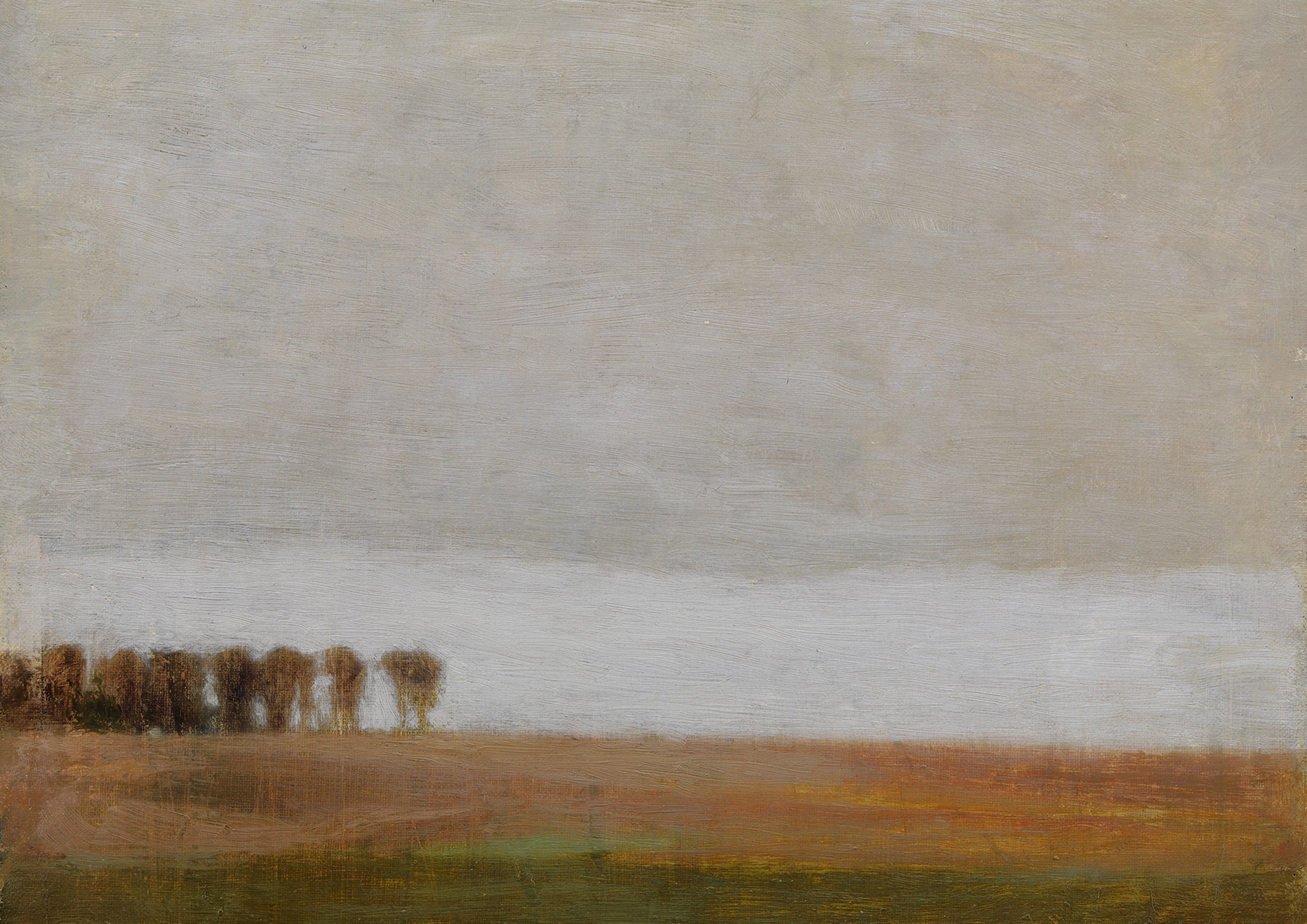 Red Fields